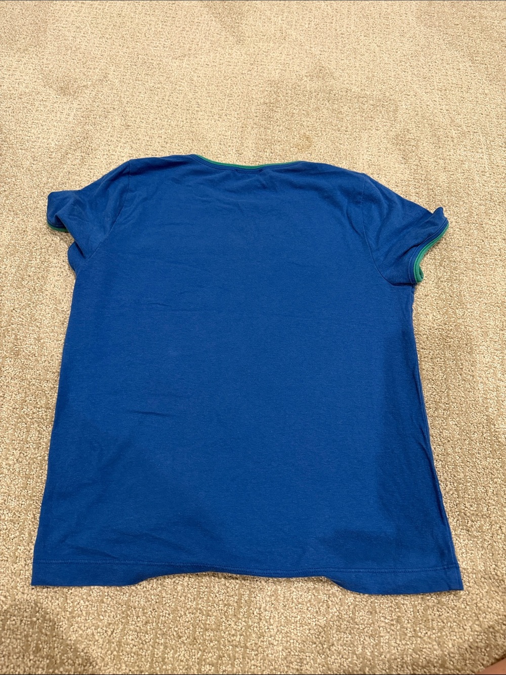 Jcrew Blue Crewneck Tee with Green Trim - Picture 3 of 3